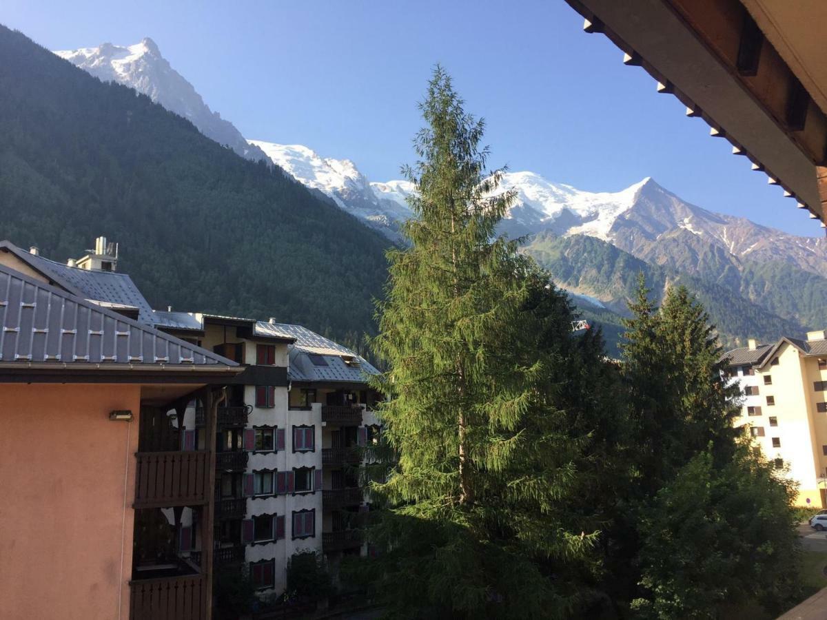 Studio Chamonix Centre With Mont-Blanc View Apartment Ngoại thất bức ảnh
